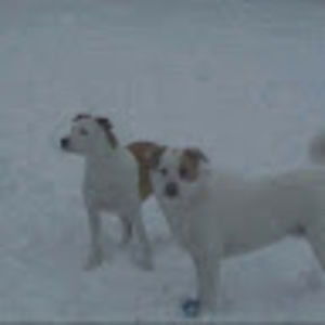 Meet your Posher, Karri